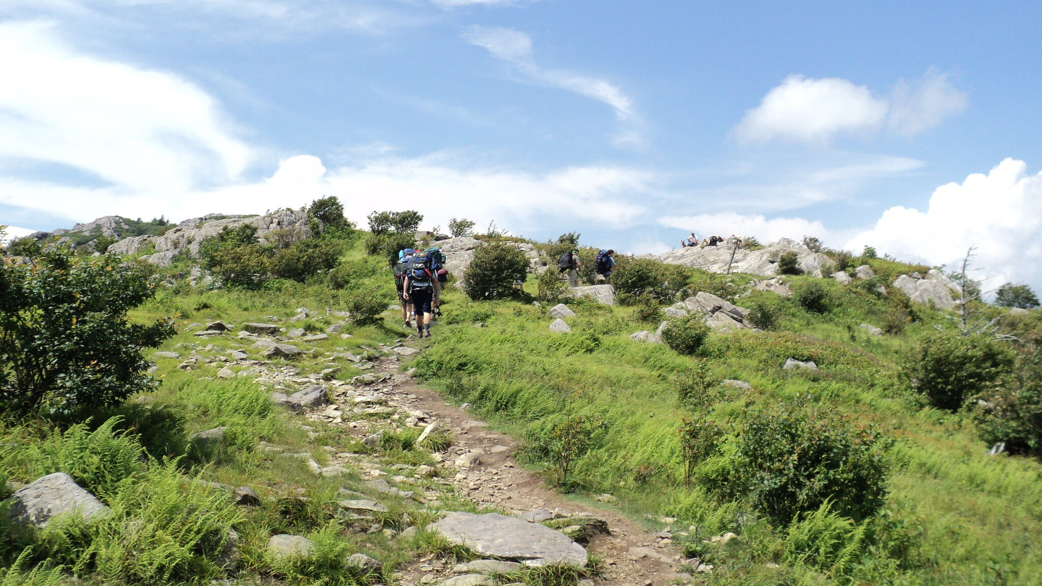 The Appalachian Trail