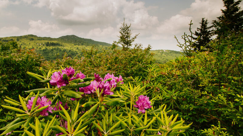 Grayson Highlands State Park