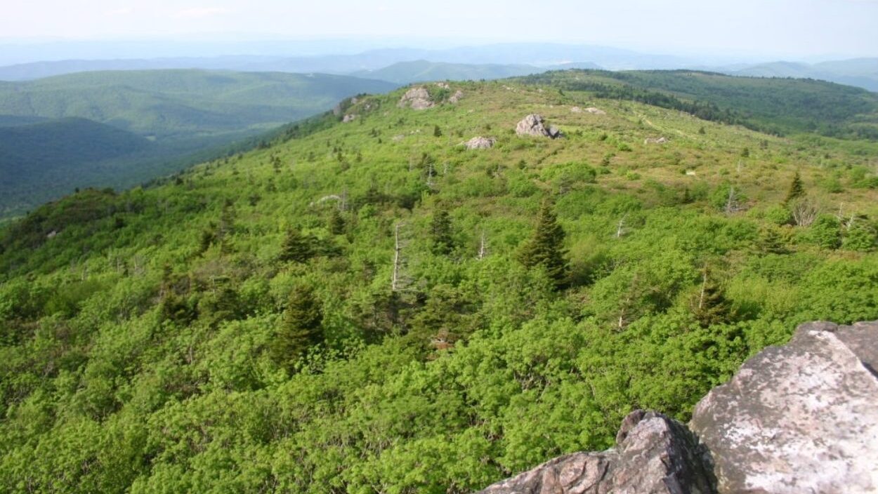 Mount Rogers