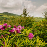 Grayson Highlands State Park