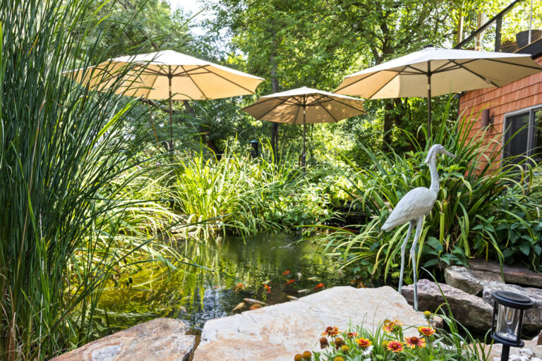 17 Hilltop Oasis 7K gallon Koi Pond 768x512