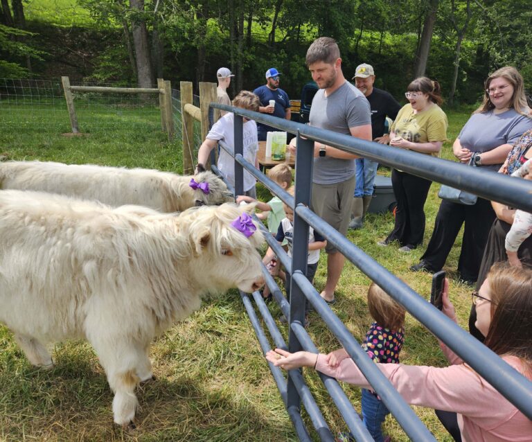 20250510 113658 768x638