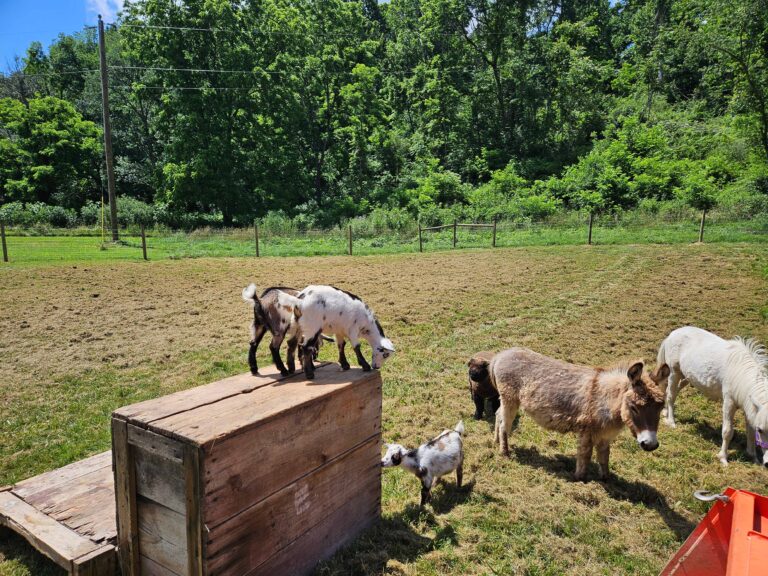 20250614 145506 768x576