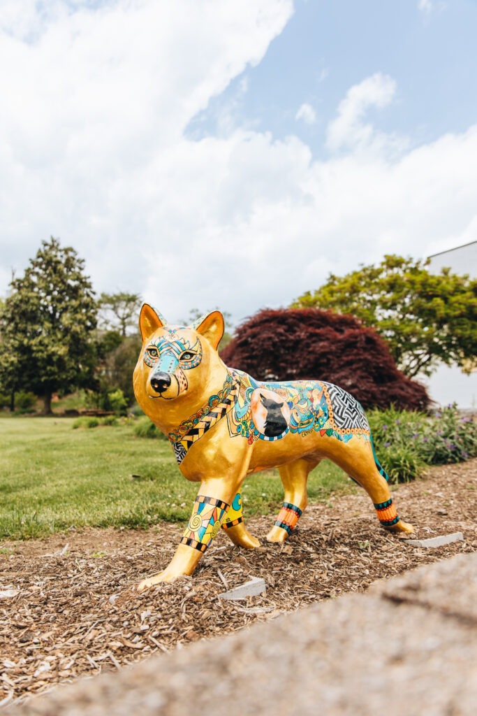 AbingdonWolfProject_2026_WolfMoon_LauraBaysReynolds-2